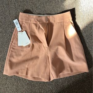 Aritzia Shorts
